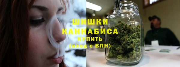 дмт Мегион