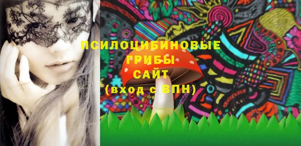 дмт Мегион