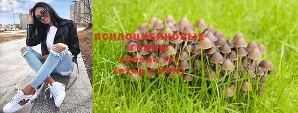 дмт Мегион