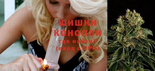дмт Мегион