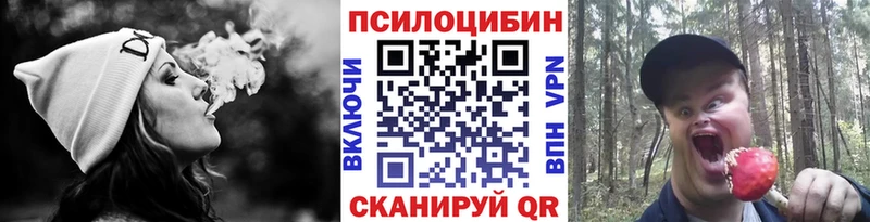 где купить   Южа  Галлюциногенные грибы Cubensis 
